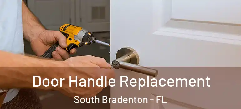  Door Handle Replacement South Bradenton - FL