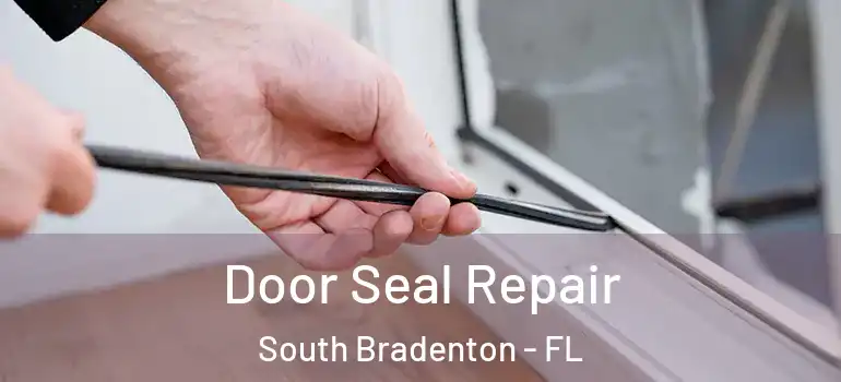  Door Seal Repair South Bradenton - FL